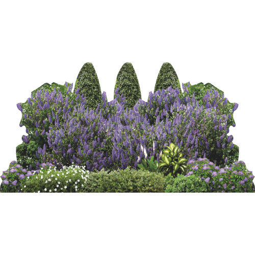SP13301 Jardin buisson paysage lilas fleur haie carton découpé debout