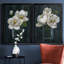 «Chalkboard Beauty I», ensemble de 2 reproductions d'art-1872603816-1863333090-1863333093