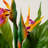 83cm Faux Bird of Paradise Tree with Flower
