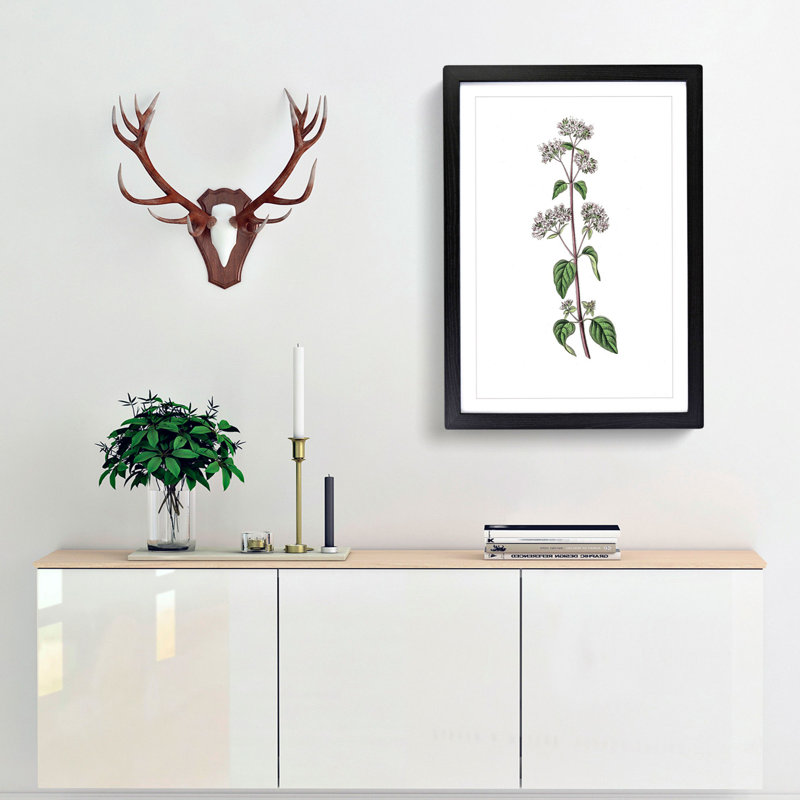 Oregano Flowers Illustration - Picture Frame Painting Print, 36cm H x 27cm W x 2cm D, Black Framed