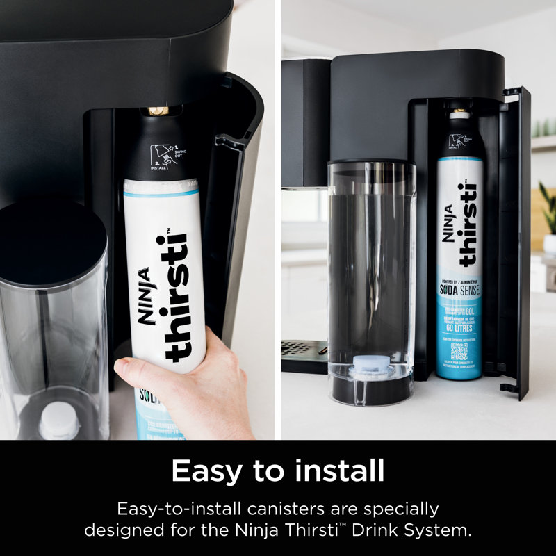 Ninja Thirsti 60L CO2 Canister 2-Pack