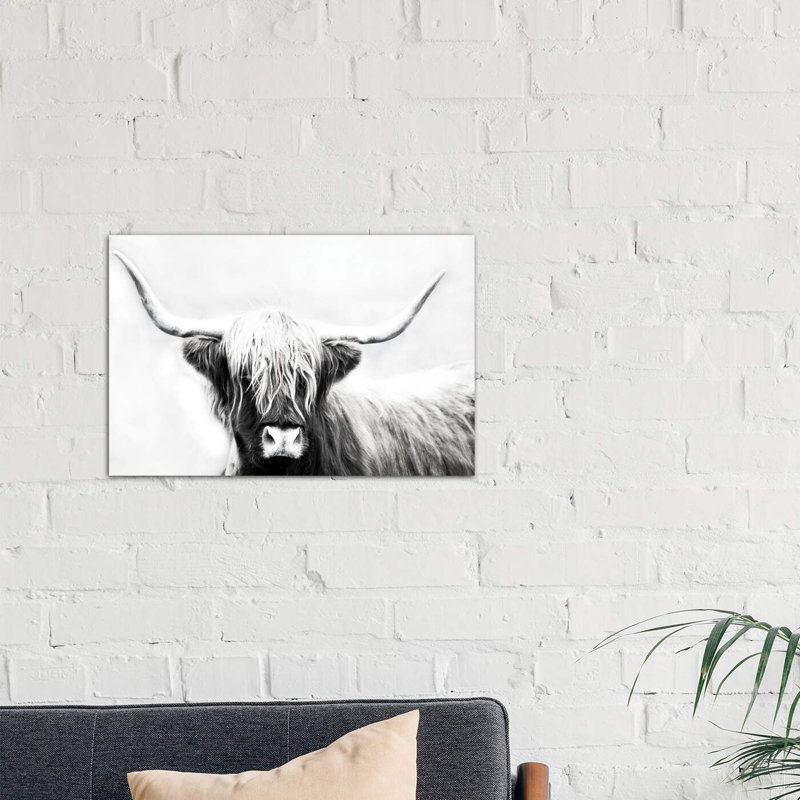 Highland Longhorn by Danita Delimont - Print on Canvas, 20.32 cm H x 30.48 cm W, No Frame