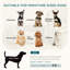 Nashua Polyester Pet Bed-1679434113