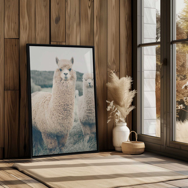 Impression sur toile Alpaca Charm, Cadre flottant en chrome poli, H 36,75 po x l 24,75 po x P 1,75 po