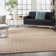 Moritz Ikat Indoor Rug