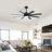 52" 8-Blade Ceiling Fan with 3CCT Dimmable LED Light Kit And Remote , 6-Speed Noiseless Reversible DC Motor
