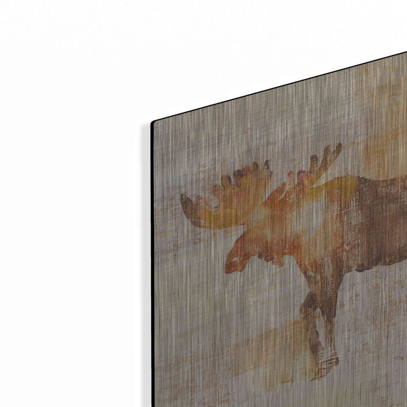 «Moose Study» par Studio Mousseau, H 12 po x l 12 po