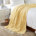 Pale Buttery Yellow
