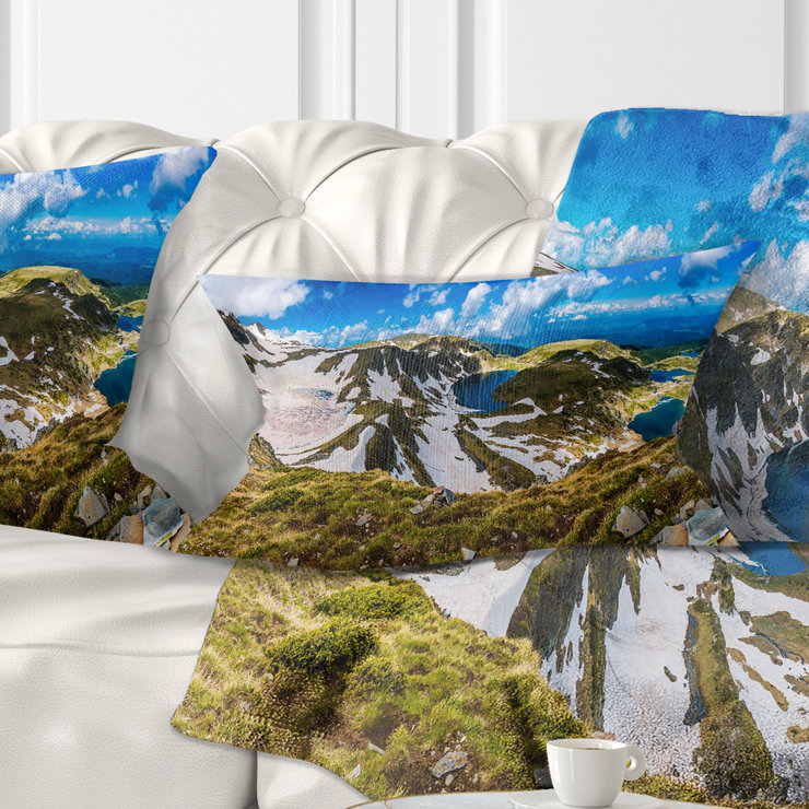 Throw Pillow