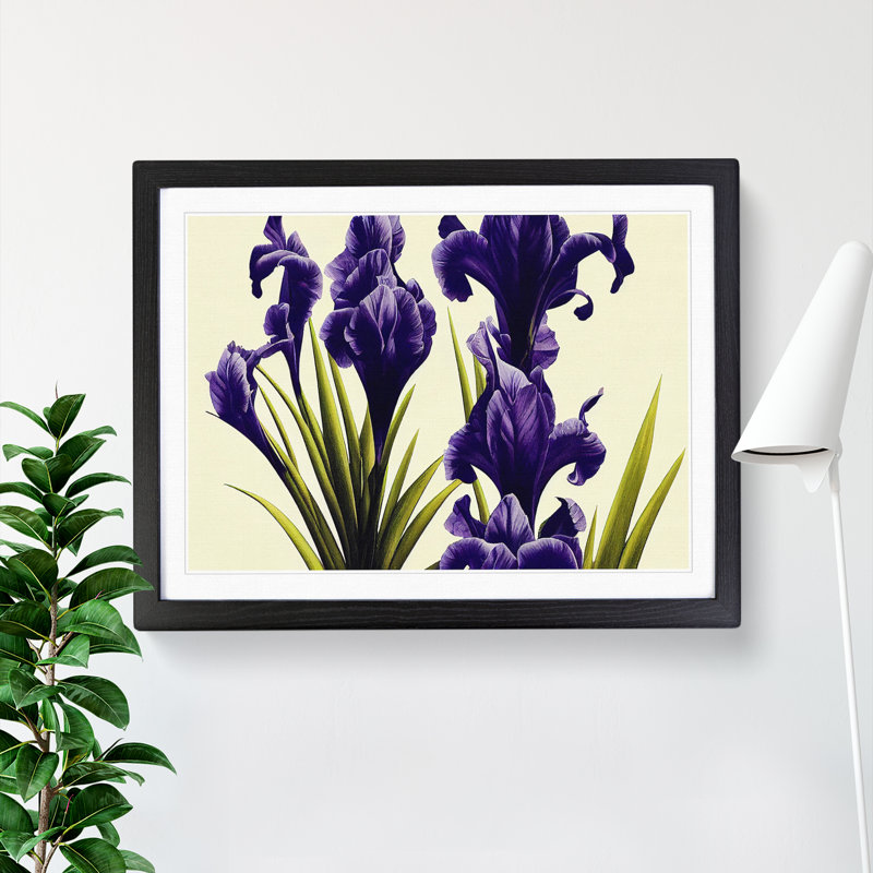 Desirable Iris Flowers - Single Picture Frame Painting, 46cm H x 64cm W x 2cm D, Black
