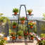 Anterrio Plant Stand