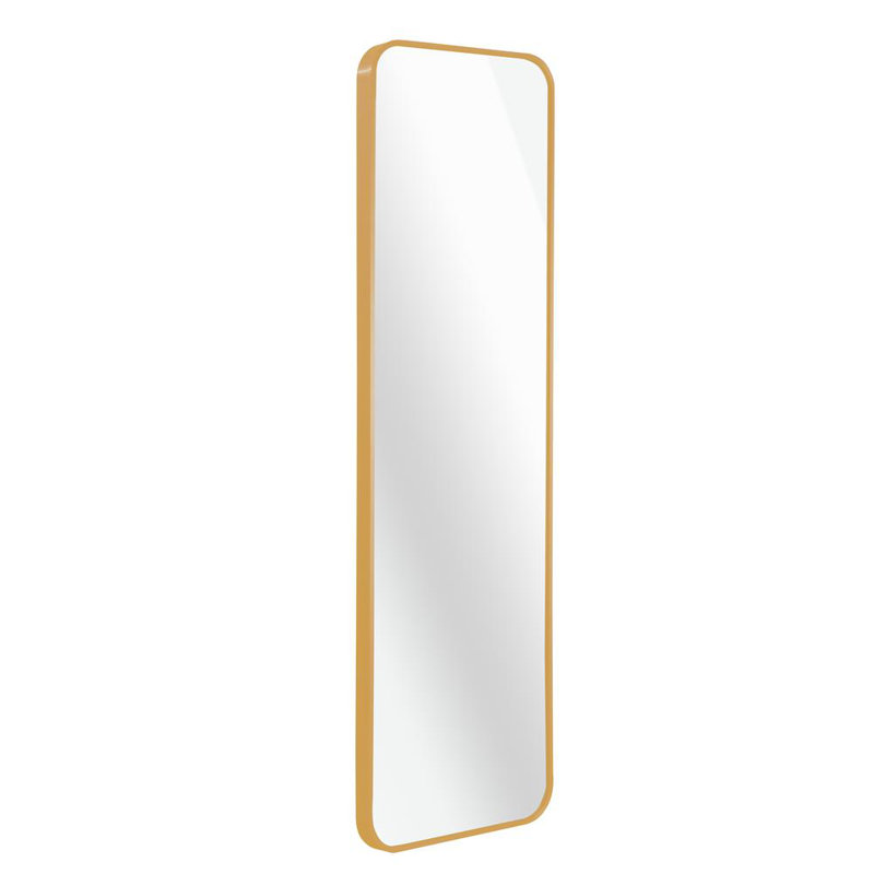 Clasic Design Rectangular Metal Framed Wall Mounted Door Mirror