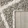 Darrol Performance Geometric Rug