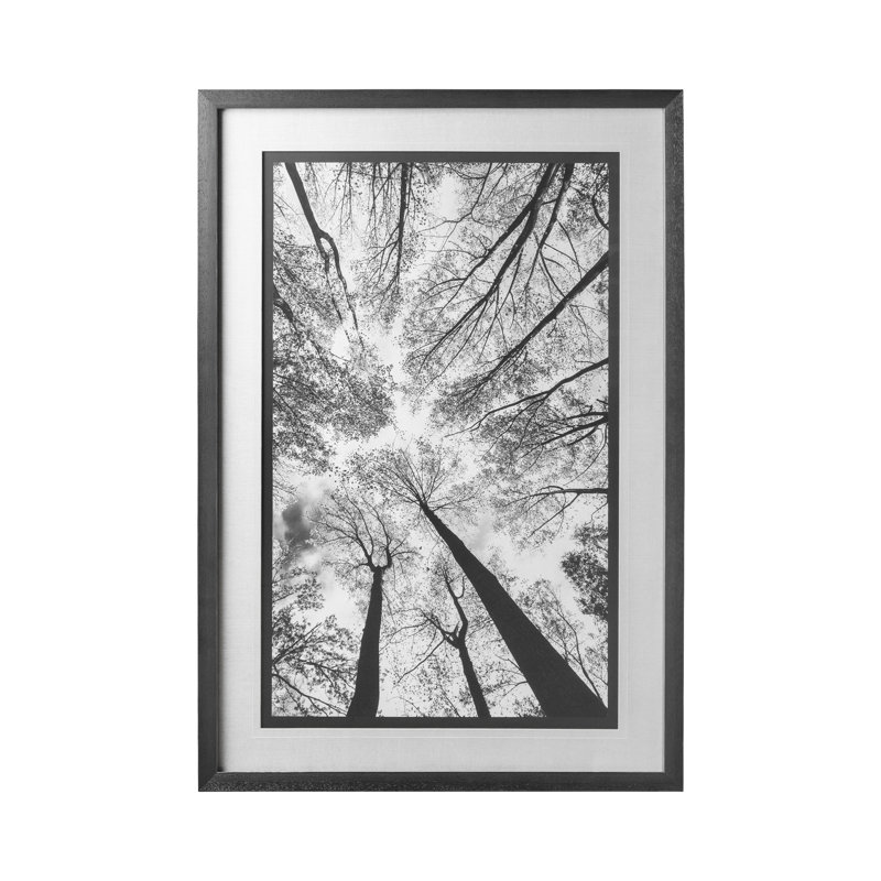 «Look Up I BW a», reproduction d'art encadrée à la main avec passe-partout
