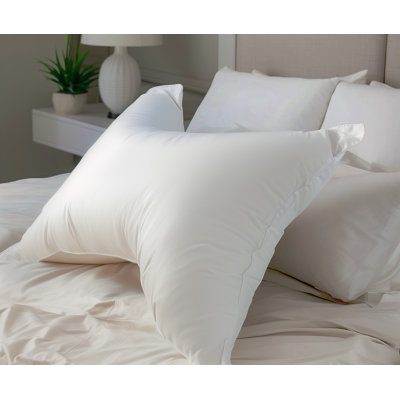 Coussin de soutien Zimmerman