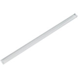Pencil 12'' x 0.5'' Glass Border Tile