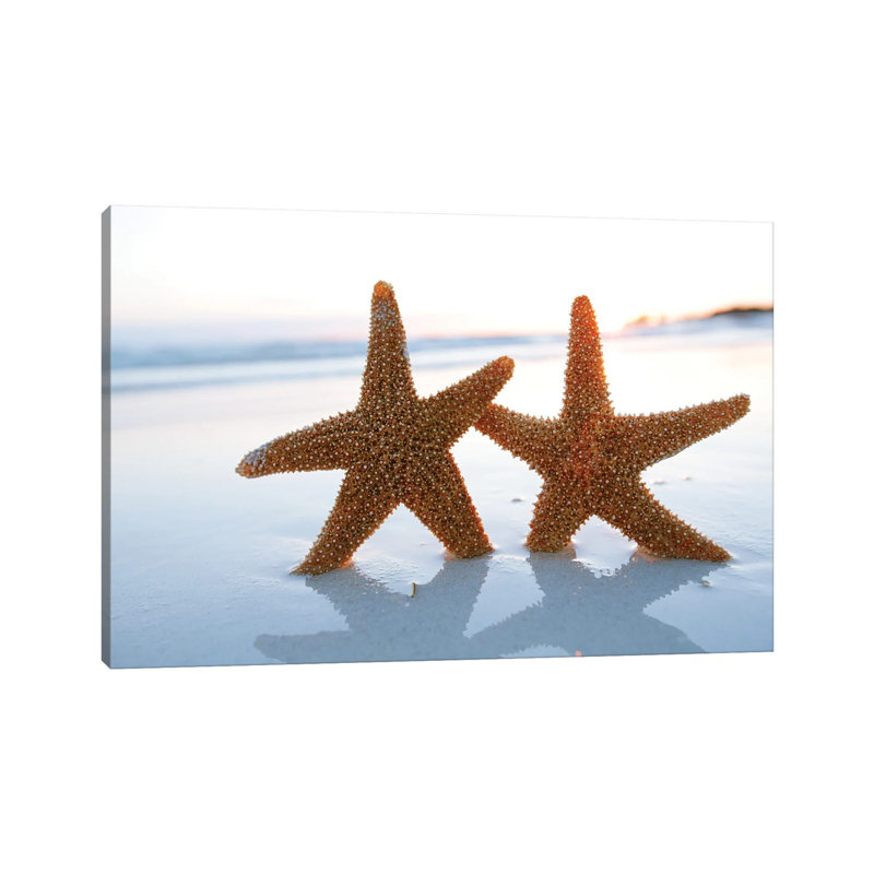 Sea Star Starfish Silhouette On Sunrise Beach, Shallow Dof by Depositphotos - Wrapped Canvas Gallery-Wrapped Canvas Giclée