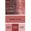 Tapis oriental rouge / gris-2108622869