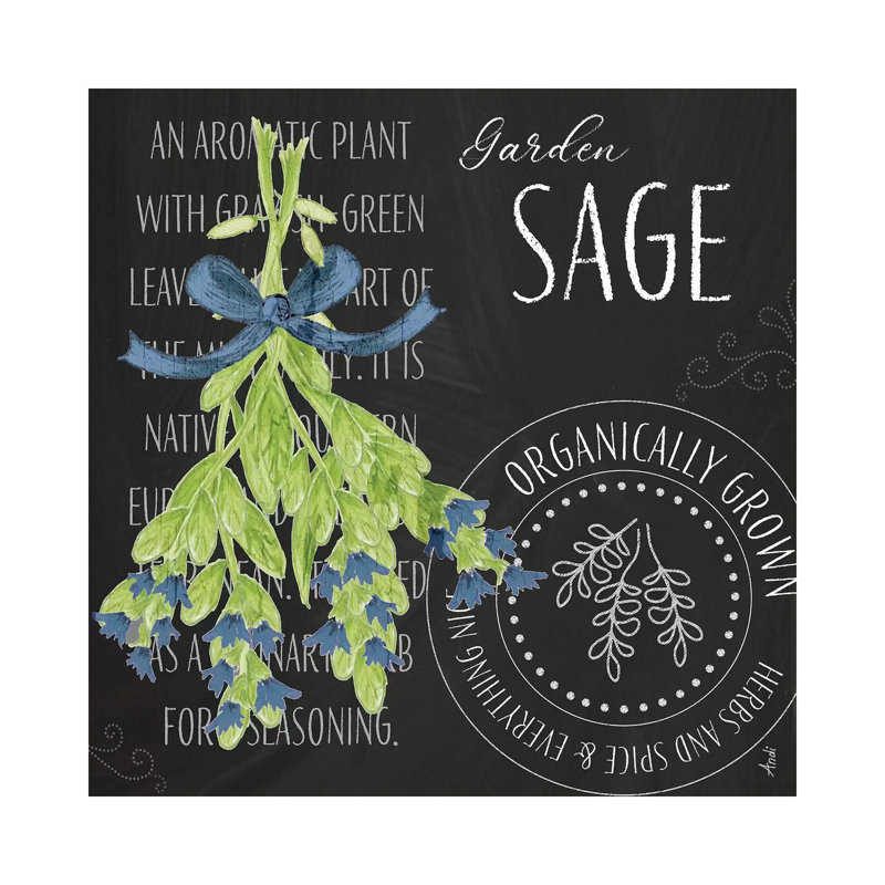 Garden Grown Herbs II by Andi Metz - Wrapped Canvas Print, 45.72 cm H x 45.72 cm W x 3.175 cm D
