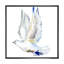 Colombe blanche en vol IV - On-1062956161-1062956166