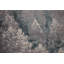 Tapis Sheldrake