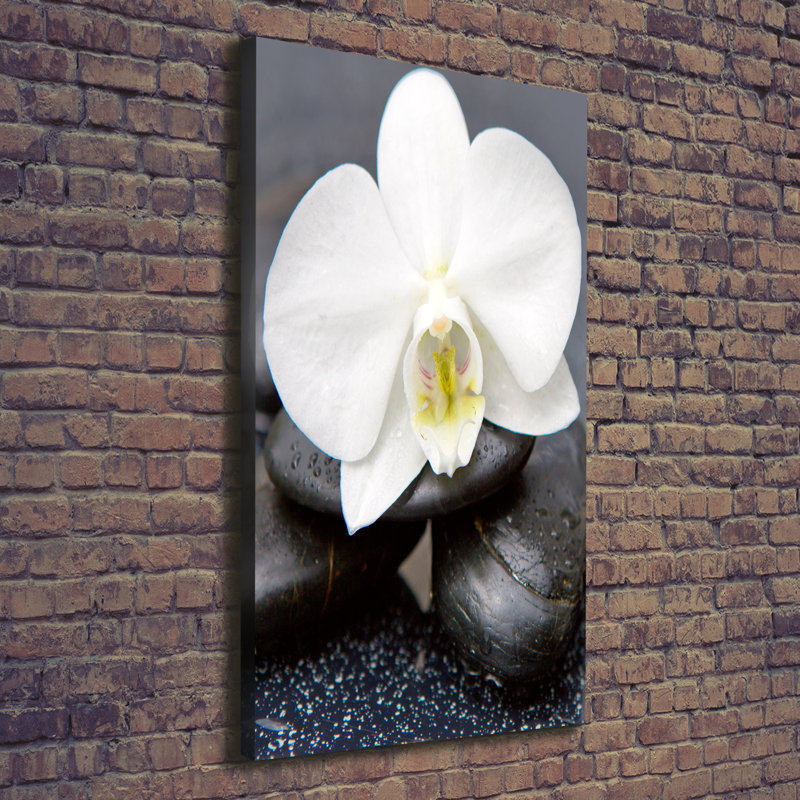 Orchid And Stones - Wrapped Canvas Print