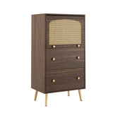 Rattan Sideboard With 2 Drawer And 1 Door