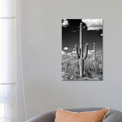 Saguaro Cactus II 1 Piece Wrapped Canvas Wall Art