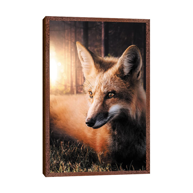 The Fox In The Forest by Zenja Gammer - Print on Canvas, Classic Brown Wood Framed, 66.04 cm H x 45.72 cm W