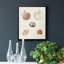 Toile encadrée Pastel Knorr Shells-1932138127-1932138123