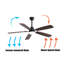 Keagon 52'' Ceiling Fan with LED Lights