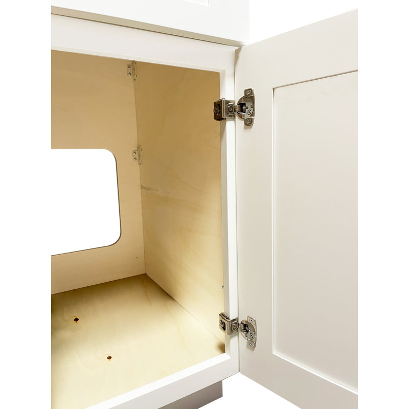 Disar 39'' White Wood Single Bathroom Vanity with Right Drawer