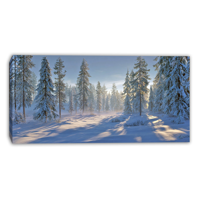 «Snowfall Through Birch Grove», art mural sur toile tendue, H 36 po x l 48 po