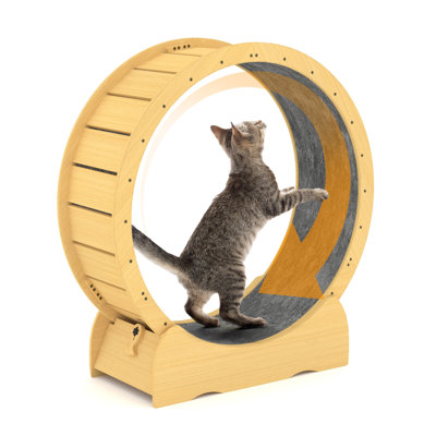 Roue d'exercice moderne en bois pour chat, 46 po