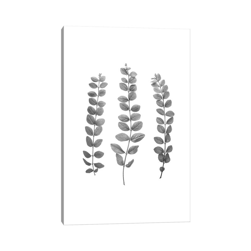 Foliage Bw by Sisi & Seb - Gallery-Wrapped Canvas Giclée on Canvas, 20.32 cm H x 30.48 cm W, Canvas