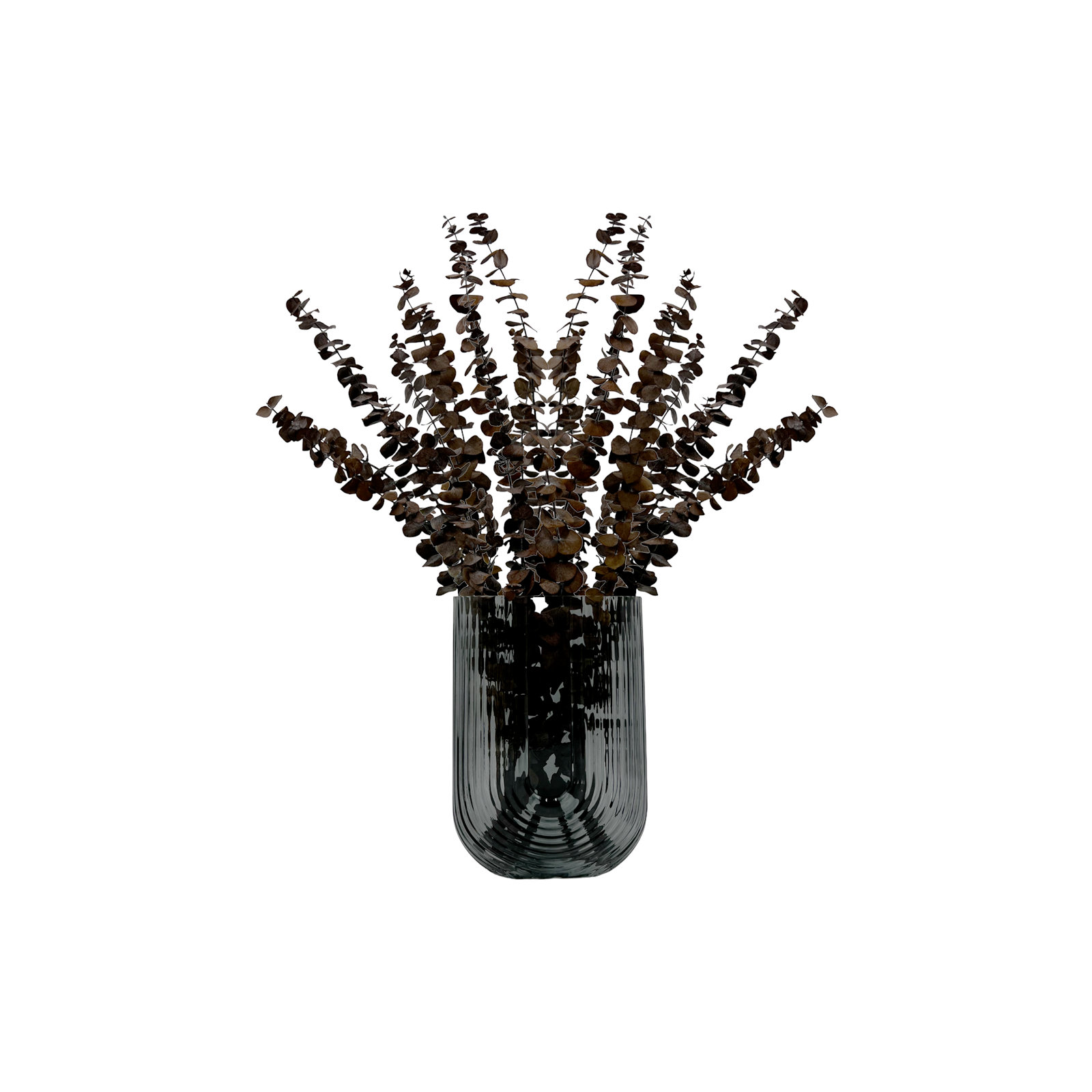 Bundle of 4 Dried Preserved Baby Eucalyptus Bouquets, Coffee