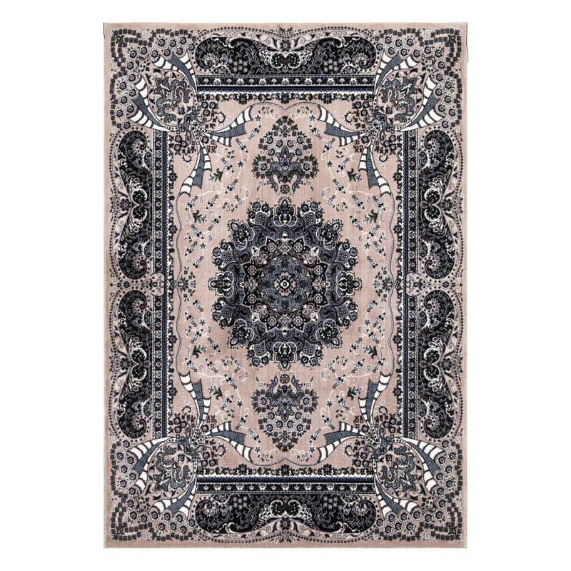 Constina Oriental Indoor / Outdoor Area Rug, Rectangle 120 x 170cm