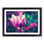 Purple Tulip Flower - Framed Print-56758333-56758334