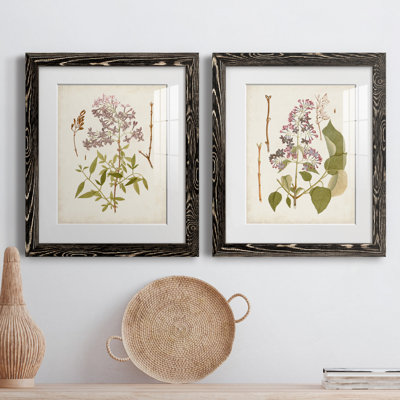 «Vintage Flowering Trees I», ensemble de 2 reproductions d'art sur papier encadrées