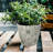 Bamboo Blooms 7" Pink Flower Round Self-Watering Indoor/Outdoor Bamboo Plant Pot-94209019