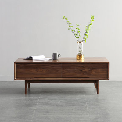 Modern minimalist solid wood storage coffee table