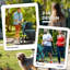 Foldable Pet Pet Stroller-91604313