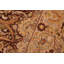Tapis oriental brun clair / beige / brun en laine noué à la main de 5 pi 11 po x 9 pi Parkwoods