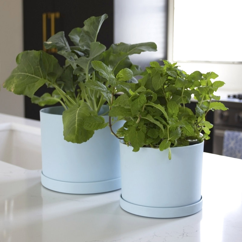 Pot à fleurs rond intérieur / extérieur en plastique moderne avec soucoupe, H 6,63 po x l 8,5 po x P 8,5 po, Bleu