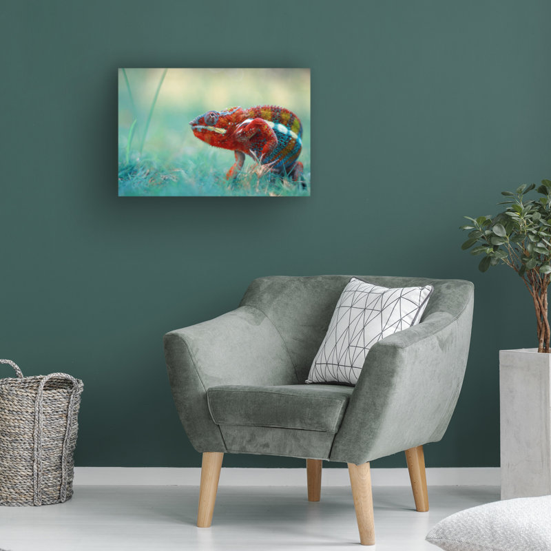 Art sur toile, Rouleau Andri Priyadi Chameleon Phanter, H 12 po x l 19 po