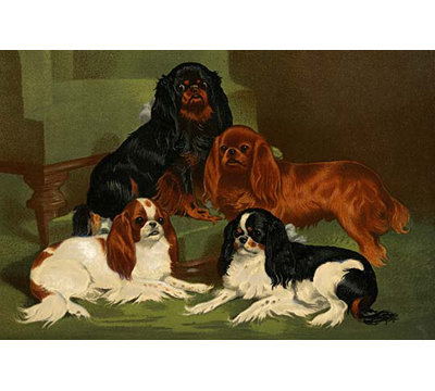 " Toy Spaniels " by Vero Shaw