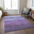 Machine Washable Indoor/Outdoor Cinead ACN1699 Purple Rug-104737790