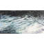 In The Shallows #3 Print-999023040