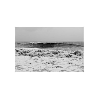 Seaspray Print by Barclay Butera