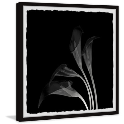 Lovely Lillies - Single Picture Frame Painting